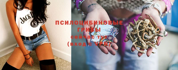 мяу мяу мука Вяземский
