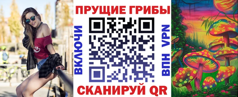 Псилоцибиновые грибы прущие грибы  Купить  Дивногорск 